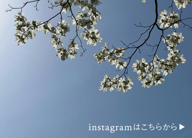 あわやまりのインスタグラムへ