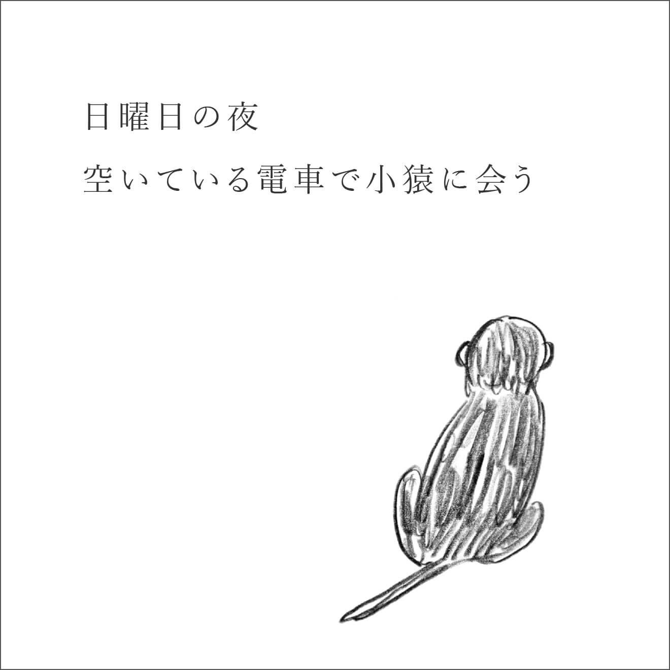『忘れる星』の小猿とチョコレート