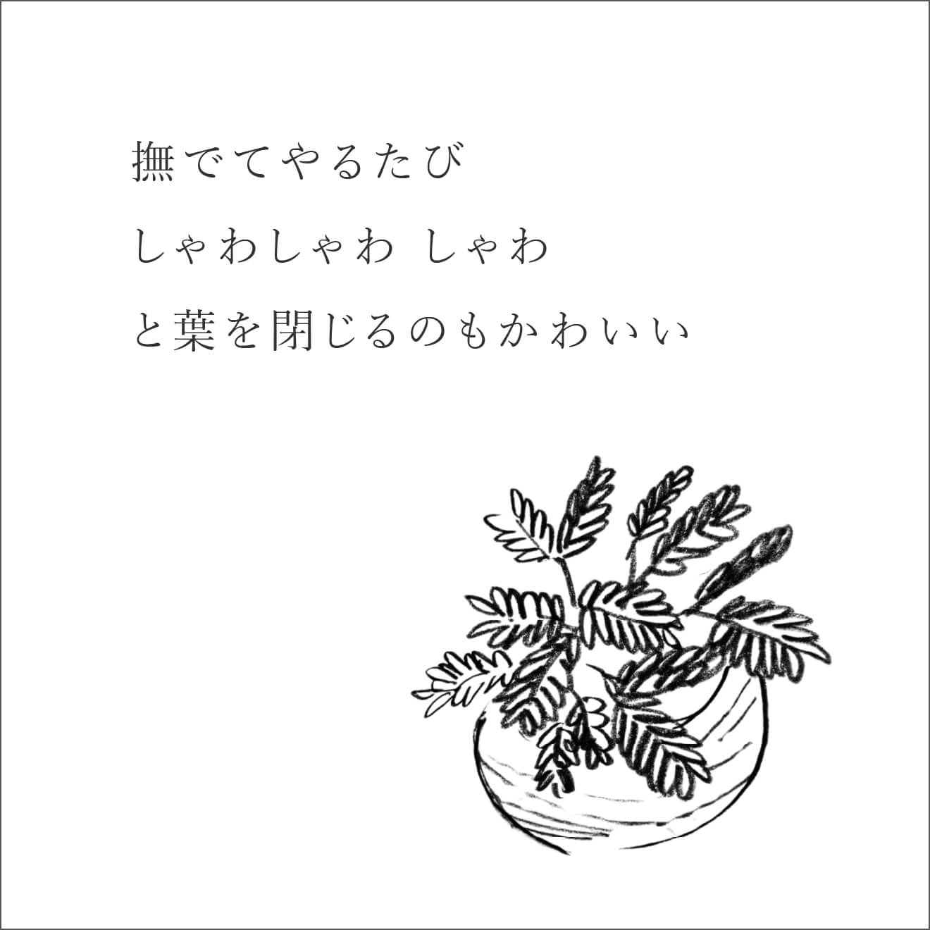 『忘れる星』のおじぎ草で眠る